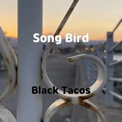 Song Bird - Single by Black Tacos album reviews, ratings, credits