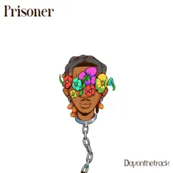 Prisoner - Single by Dayonthetrack album reviews, ratings, credits