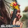 Blossom - Single album lyrics, reviews, download