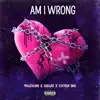 AM I WRONG ? (feat. Skrapz & Sixteen DMC) - Single album lyrics, reviews, download