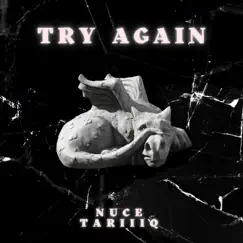 Try Again (feat. Tariiiq) - Single by Nuce album reviews, ratings, credits