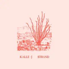 Strand - Single by Kalle J album reviews, ratings, credits