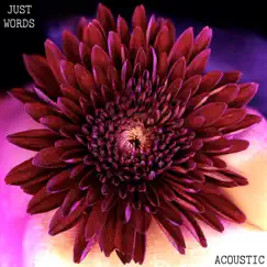 Just Words (Acoustic Version) Song Lyrics