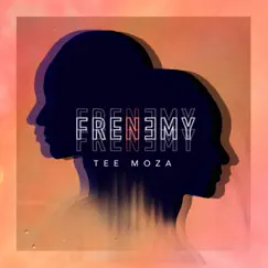 Frenemy Song Lyrics