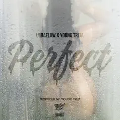 Perfect (feat. Young Treja) - Single by Undaflow album reviews, ratings, credits