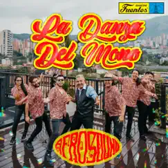 La Danza del Mono - Single by Afrosound album reviews, ratings, credits