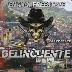 Delincuente Song Lyrics