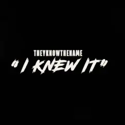 I Knew it - Single by Theyknowthename album reviews, ratings, credits