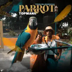 Parrot Song Lyrics