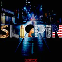 Slippin - Single by Breedsworld album reviews, ratings, credits