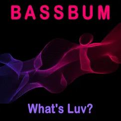 What's Luv? - Single by Bassbum album reviews, ratings, credits