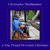 A True Friend On Lonely Christmas - Single album lyrics, reviews, download