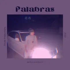 Palabras (feat. ŁuVy) - Single by D Rod album reviews, ratings, credits