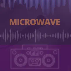 Microwave Song Lyrics