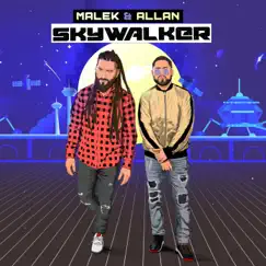 Skywalker (feat. Allan) - Single by Malek album reviews, ratings, credits