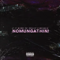 Nomungathini (feat. Mlindo The Vocalist & MusiholiQ) - Single by JT album reviews, ratings, credits