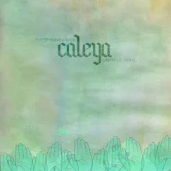 These Waves Will Carry Us Home by Caleya album reviews, ratings, credits