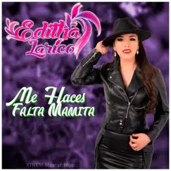 Me haces falta mamita - Single by Edhita Larico album reviews, ratings, credits
