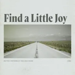 Find a Little Joy Song Lyrics