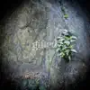 Gifted (feat. Andrew McGowan, Ilya Dynov, Justus Heher & Leonardo Catricala) - Single album lyrics, reviews, download
