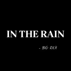 In The Rain - Single by Big Rich album reviews, ratings, credits