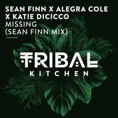 Missing (Sean Finn Mix) - Single by Sean Finn, Alegra Cole & Katie DiCicco album reviews, ratings, credits