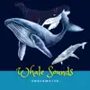 Amazing Whale Sounds Underwater album lyrics, reviews, download