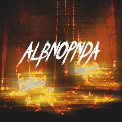 Forest Fire - Single by Albnopnda album reviews, ratings, credits