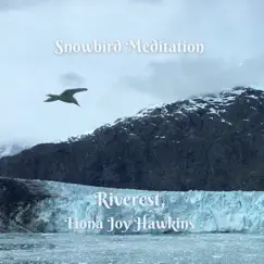 Snowbird Meditation - Single by Riverest & Fiona Joy Hawkins album reviews, ratings, credits