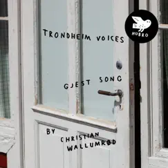 Gjest Song by Trondheim Voices & Christian Wallumrød album reviews, ratings, credits