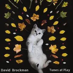 Tunes at Play by David Brockman album reviews, ratings, credits