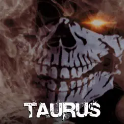 Taurus (Radio Version) Song Lyrics