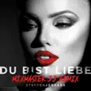 Du bist Liebe (Mixmaster JJ Remix) - Single album lyrics, reviews, download
