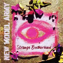 Strange Brotherhood by New Model Army album reviews, ratings, credits