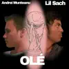 Olé - Single album lyrics, reviews, download