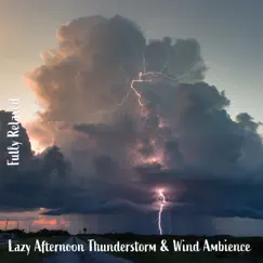 Lazy Afternoon Thunderstorm & Wind Ambience, Pt. 12 Song Lyrics