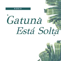 Gatuna Está Solta Song Lyrics