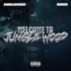 BIRON x JungleWood (Welcome To JungleWood) (feat. BIRON) - Single album lyrics, reviews, download