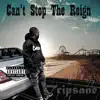 Can't Stop the Reign - Single album lyrics, reviews, download