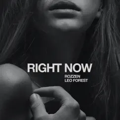 Right Now - Single by Rozzen & Leo Forest album reviews, ratings, credits