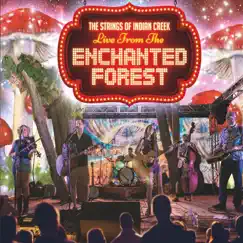 Live from the Enchanted Forest by The Strings of Indian Creek album reviews, ratings, credits