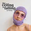 The Ceiling Is Falling - Single album lyrics, reviews, download
