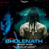 Bholenath - Single album lyrics, reviews, download