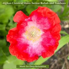 Afghan Folk Music Series: Rubab and Tamboor by Music for Deep Relaxation album reviews, ratings, credits