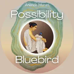 Possibility Bluebird - Single by Ananda Murari album reviews, ratings, credits