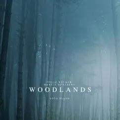 Woodlands (Solo Piano) - Single by Felix Räuber & Martin Herzberg album reviews, ratings, credits