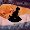 Calming Your Dog with Hang Drum Music album lyrics, reviews, download