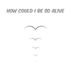 How Could I Be so Alive Song Lyrics
