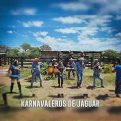 El Mamon Chino - Single by Karnavaleros De Jaguar & Los Karkik's album reviews, ratings, credits