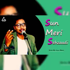 Sun Meri Shehzadi - Single by Kumar Sanu & Alka Yagnik album reviews, ratings, credits